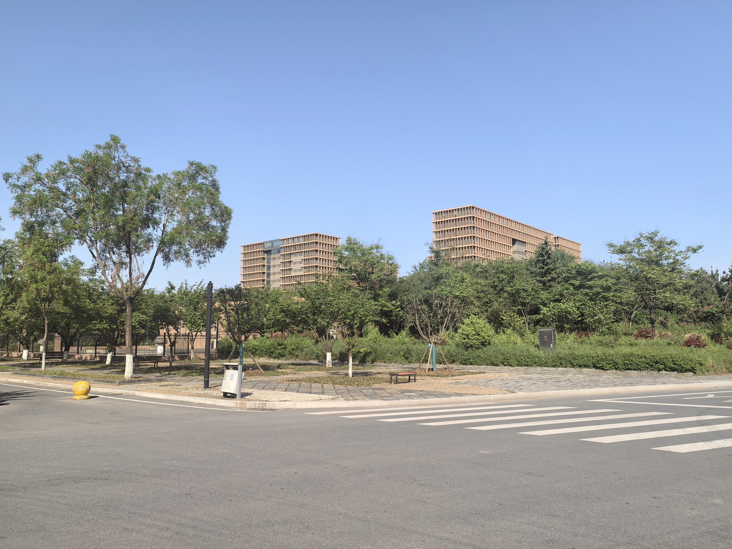 半学期记：春日校园